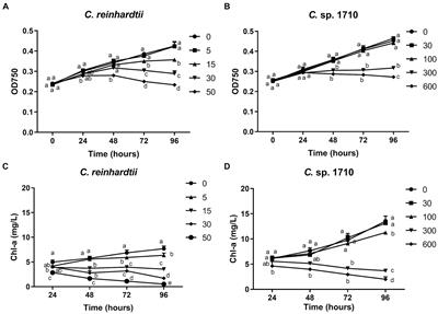 Photosynthetic response of Chlamydomonas reinhardtii and Chlamydomonas sp. 1710 to zinc toxicity